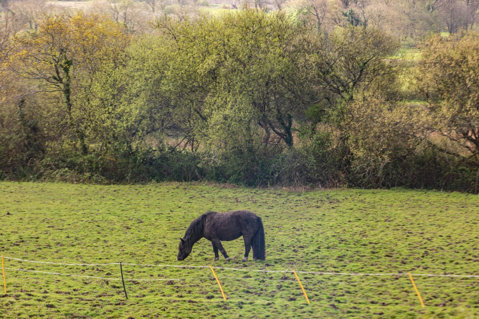 Reynoldston, Swansea, SA3 1AA